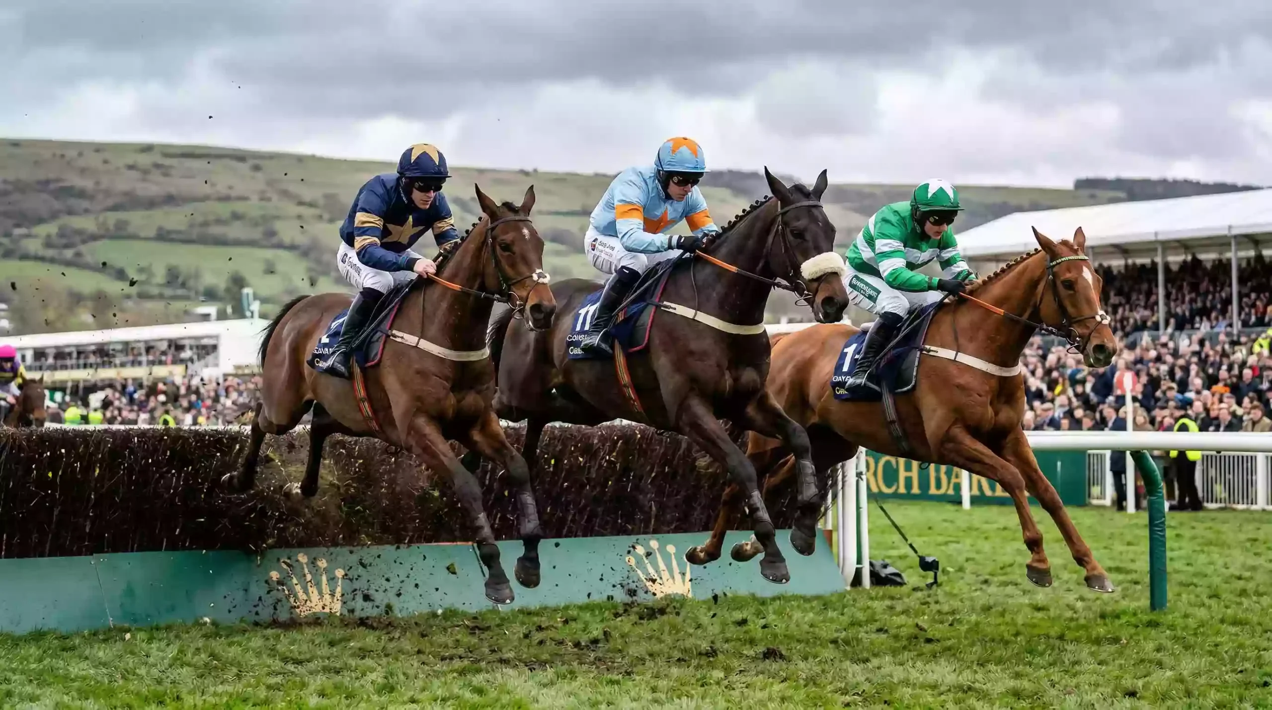 Horses jumping a fence at Cheltenham Festival with the Cotswolds hills in the background