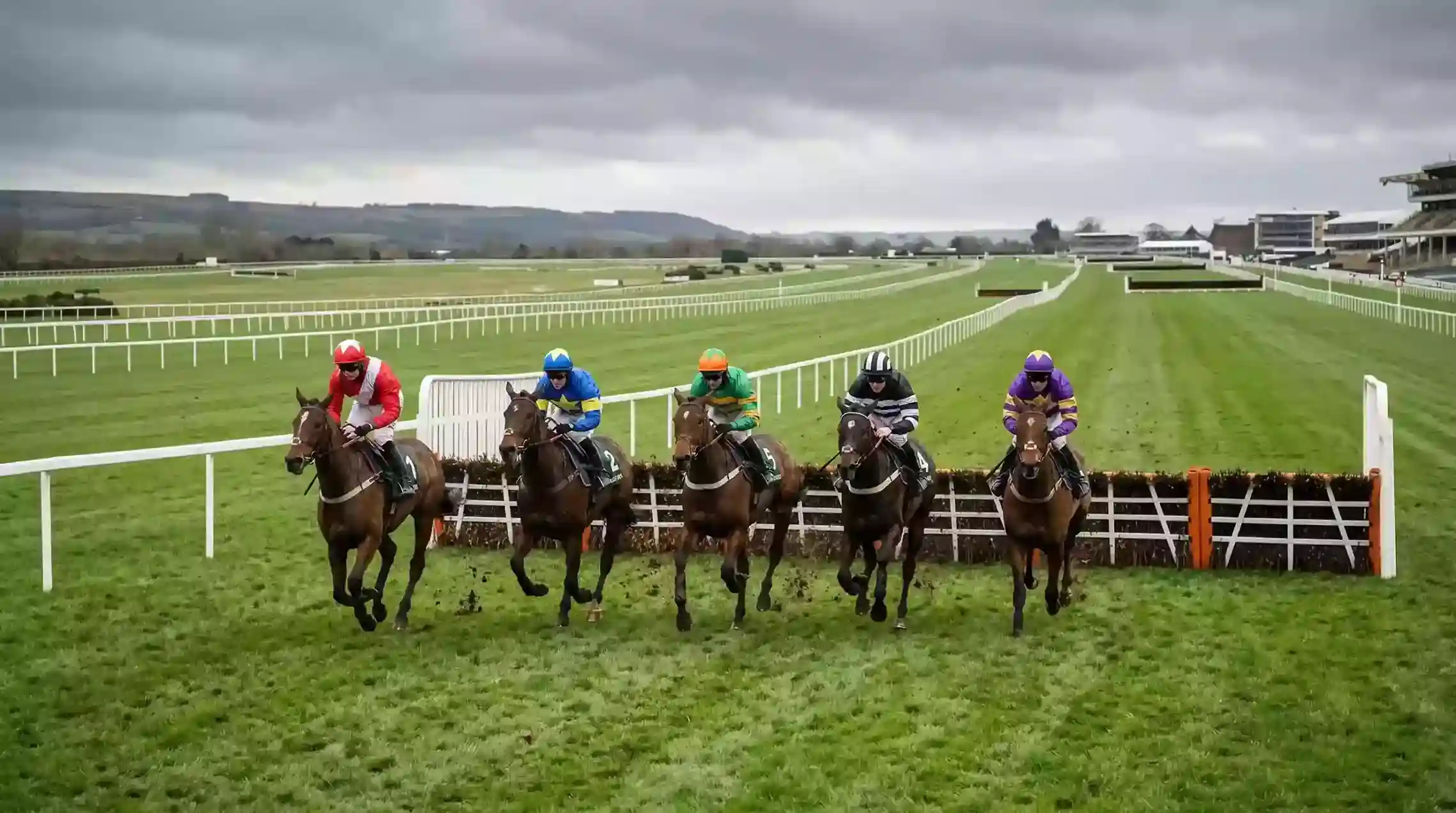 Small field of five horses approaching a hurdle at a UK National Hunt meeting