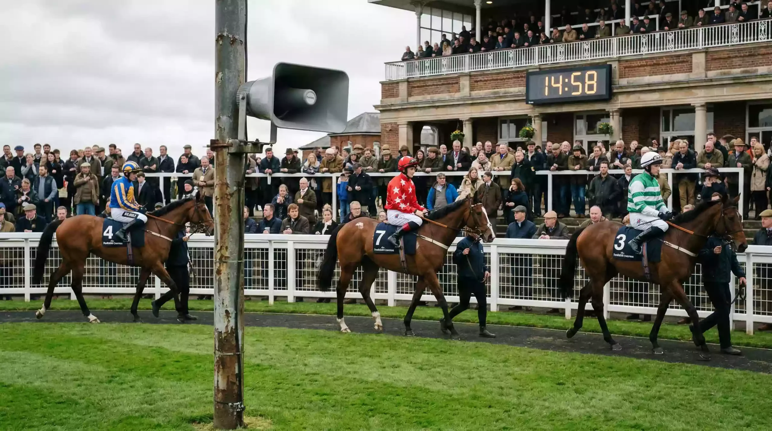 Racecourse loudspeaker announcing a late withdrawal with horses in the parade ring