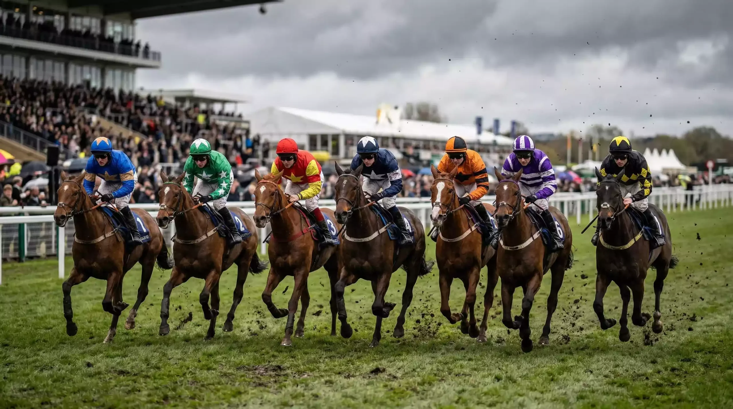 Tight pack of horses mid-race on a UK turf course with no clear front-runner
