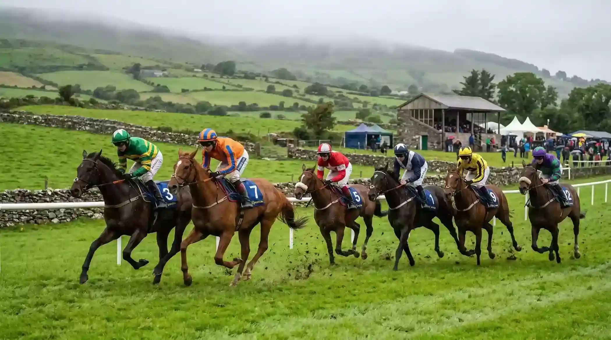 Horses racing on green turf at an Irish racecourse on a misty morning