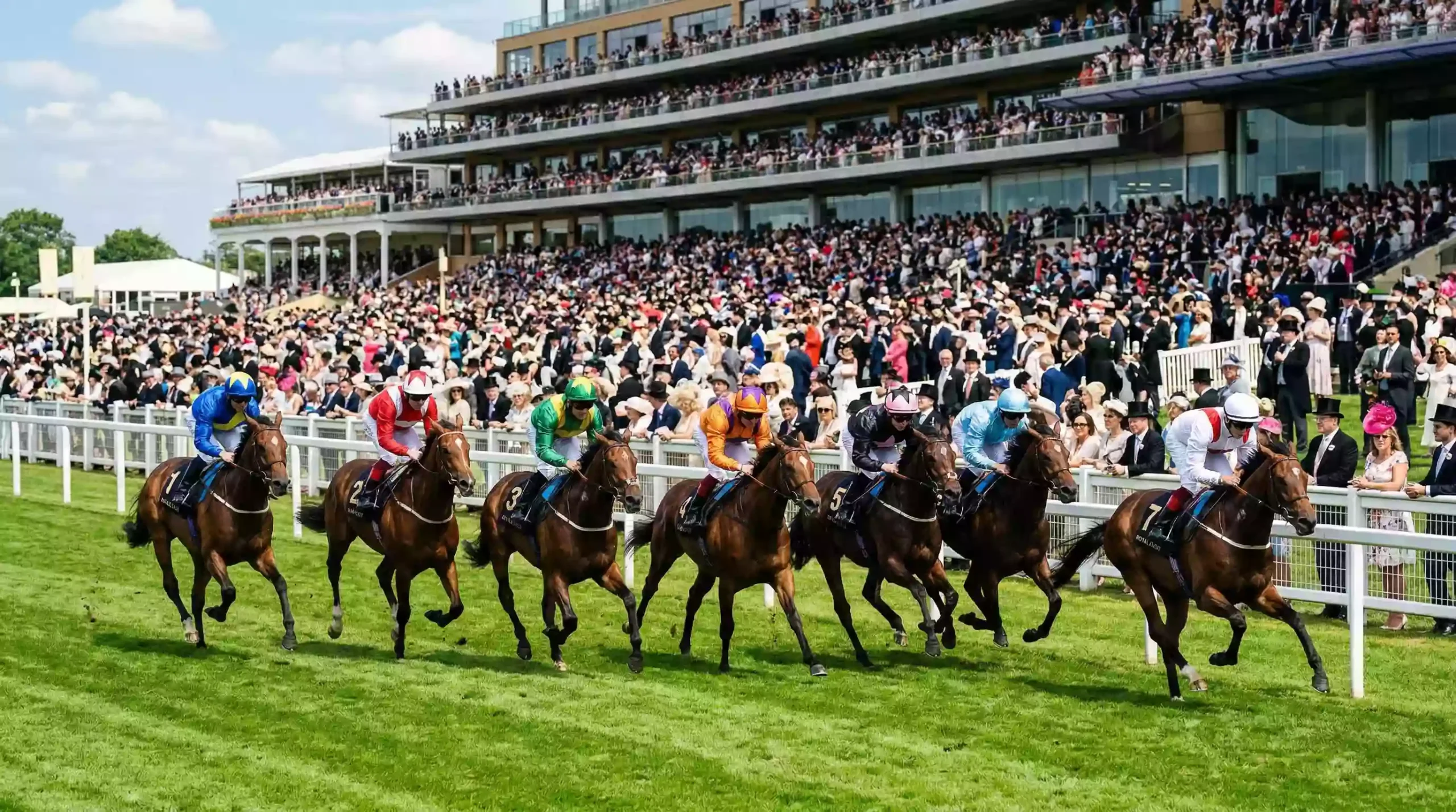Horses racing down the Royal Ascot straight course on a sunny day